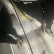 ヒメ日記 2025/04/11 09:50 投稿 なつき 奥鉄オクテツ奈良