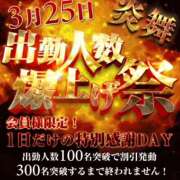 ヒメ日記 2026/03/24 15:52 投稿 ゆきな 奥鉄オクテツ奈良
