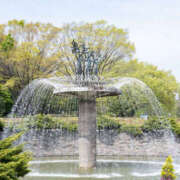 ヒメ日記 2025/03/27 13:57 投稿 あきら 奥鉄オクテツ奈良