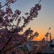 ヒメ日記 2025/03/29 17:26 投稿 あきら 奥鉄オクテツ奈良