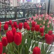 ヒメ日記 2025/04/26 16:32 投稿 あきら 奥鉄オクテツ奈良