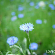 ヒメ日記 2025/05/14 13:58 投稿 あきら 奥鉄オクテツ奈良