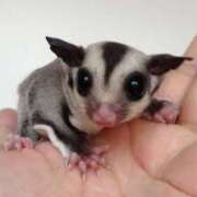 ヒメ日記 2025/05/17 07:13 投稿 あきら 奥鉄オクテツ奈良