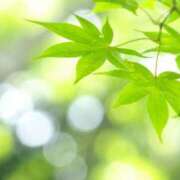 ヒメ日記 2025/07/08 15:03 投稿 あきら 奥鉄オクテツ奈良