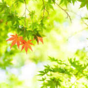 ヒメ日記 2025/09/25 16:26 投稿 あきら 奥鉄オクテツ奈良