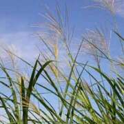 ヒメ日記 2025/10/11 12:04 投稿 あきら 奥鉄オクテツ奈良