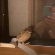 ヒメ日記 2025/10/20 09:55 投稿 あきら 奥鉄オクテツ奈良