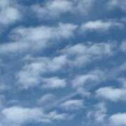 ヒメ日記 2025/11/29 13:25 投稿 あきら 奥鉄オクテツ奈良