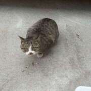 ヒメ日記 2026/03/20 14:39 投稿 あきら 奥鉄オクテツ奈良