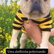 ヒメ日記 2026/03/31 13:34 投稿 あきら 奥鉄オクテツ奈良