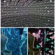 ヒメ日記 2026/04/12 15:35 投稿 あきら 奥鉄オクテツ奈良