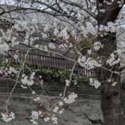 ヒメ日記 2025/04/22 00:38 投稿 かなめ 奥鉄オクテツ和歌山