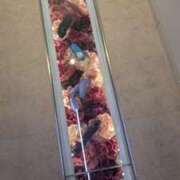 ヒメ日記 2025/07/29 21:57 投稿 かなめ 奥鉄オクテツ和歌山