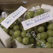 ヒメ日記 2025/09/16 00:23 投稿 かなめ 奥鉄オクテツ和歌山