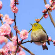 ヒメ日記 2024/03/07 10:38 投稿 あきら 奥鉄オクテツ和歌山