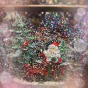 ヒメ日記 2024/12/16 17:03 投稿 あきら 奥鉄オクテツ和歌山