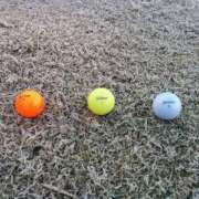 ヒメ日記 2025/01/09 05:27 投稿 あきら 奥鉄オクテツ和歌山