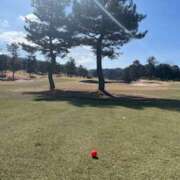 ヒメ日記 2025/02/15 08:52 投稿 あきら 奥鉄オクテツ和歌山