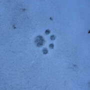 ヒメ日記 2025/02/22 17:23 投稿 あきら 奥鉄オクテツ和歌山