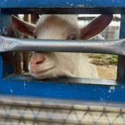 ヒメ日記 2025/03/15 12:01 投稿 あきら 奥鉄オクテツ和歌山