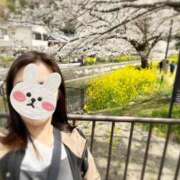 ヒメ日記 2025/04/07 09:39 投稿 あきら 奥鉄オクテツ和歌山