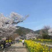 ヒメ日記 2025/04/07 17:13 投稿 あきら 奥鉄オクテツ和歌山