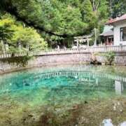 ヒメ日記 2025/05/28 17:21 投稿 あきら 奥鉄オクテツ和歌山