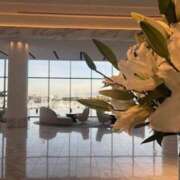 ヒメ日記 2025/06/29 18:00 投稿 あきら 奥鉄オクテツ和歌山