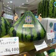 ヒメ日記 2025/07/12 06:39 投稿 あきら 奥鉄オクテツ和歌山