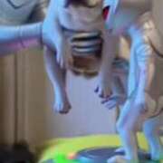 ヒメ日記 2025/07/23 10:46 投稿 あきら 奥鉄オクテツ和歌山