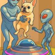 ヒメ日記 2025/07/29 17:53 投稿 あきら 奥鉄オクテツ和歌山