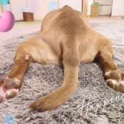 ヒメ日記 2025/08/16 17:23 投稿 あきら 奥鉄オクテツ和歌山