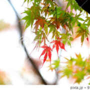 ヒメ日記 2025/10/07 16:29 投稿 あきら 奥鉄オクテツ和歌山