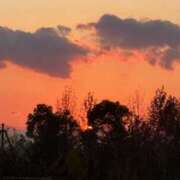 ヒメ日記 2025/11/24 18:07 投稿 あきら 奥鉄オクテツ和歌山