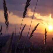 ヒメ日記 2025/12/01 20:30 投稿 あきら 奥鉄オクテツ和歌山