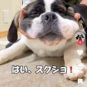 ヒメ日記 2026/02/12 20:01 投稿 あきら 奥鉄オクテツ和歌山