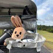 ヒメ日記 2026/03/07 10:49 投稿 あきら 奥鉄オクテツ和歌山