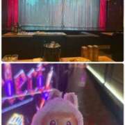 ヒメ日記 2026/03/26 06:36 投稿 あきら 奥鉄オクテツ和歌山