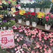ヒメ日記 2026/05/09 11:01 投稿 あきら 奥鉄オクテツ和歌山
