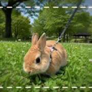 ヒメ日記 2026/05/23 09:43 投稿 あきら 奥鉄オクテツ和歌山