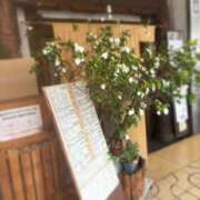 ヒメ日記 2026/07/07 20:10 投稿 あきら 奥鉄オクテツ和歌山