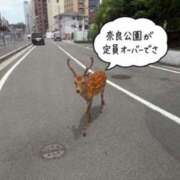 ヒメ日記 2026/07/12 15:35 投稿 あきら 奥鉄オクテツ和歌山