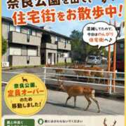 ヒメ日記 2026/08/02 16:29 投稿 あきら 奥鉄オクテツ和歌山