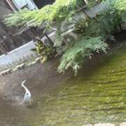 ヒメ日記 2026/08/03 16:56 投稿 あきら 奥鉄オクテツ和歌山