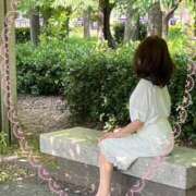 ヒメ日記 2025/11/20 10:47 投稿 いちの 奥鉄オクテツ奈良