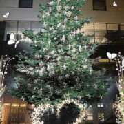 ヒメ日記 2024/12/23 14:51 投稿 りほ 奥鉄オクテツ奈良