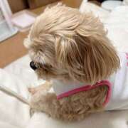 ヒメ日記 2025/04/26 14:26 投稿 りほ 奥鉄オクテツ奈良