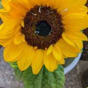 ヒメ日記 2025/08/02 10:15 投稿 まいこ 奥鉄オクテツ和歌山