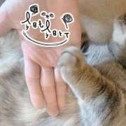 のの ３月 奥鉄オクテツ奈良