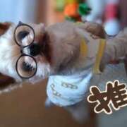 ヒメ日記 2025/03/02 12:52 投稿 れい 奥鉄オクテツ奈良